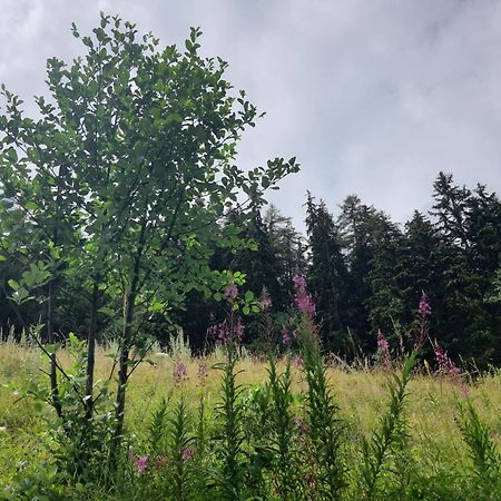 Grand Paradis Lägenhet Aosta Exteriör bild