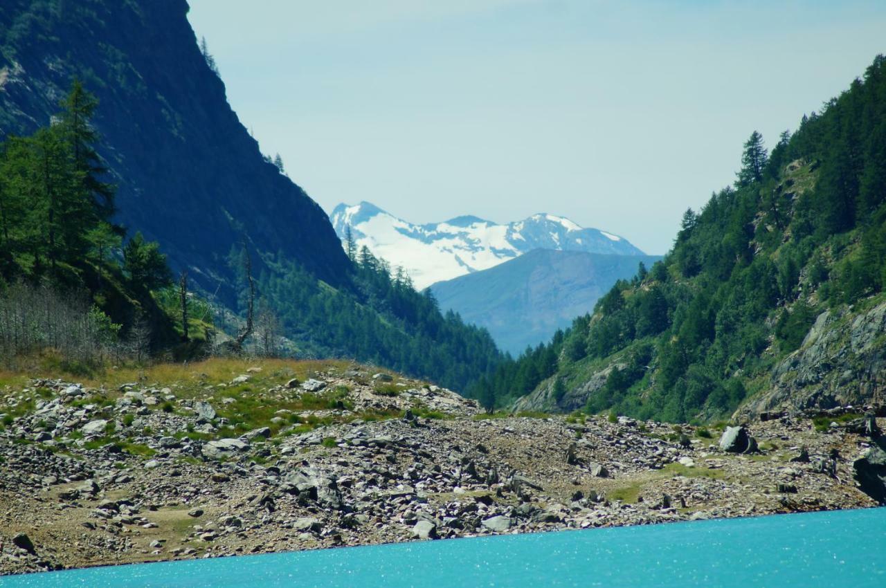 Grand Paradis Lägenhet Aosta Exteriör bild